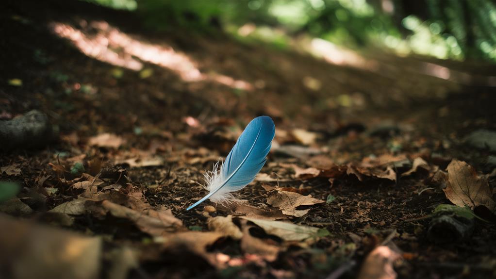 discovering nature s blue feathers