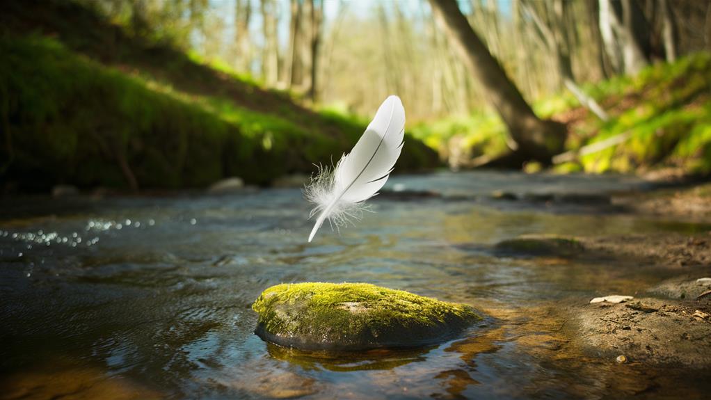 seeking wisdom through feathers